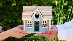 Read more about the article Bank of mum & dad